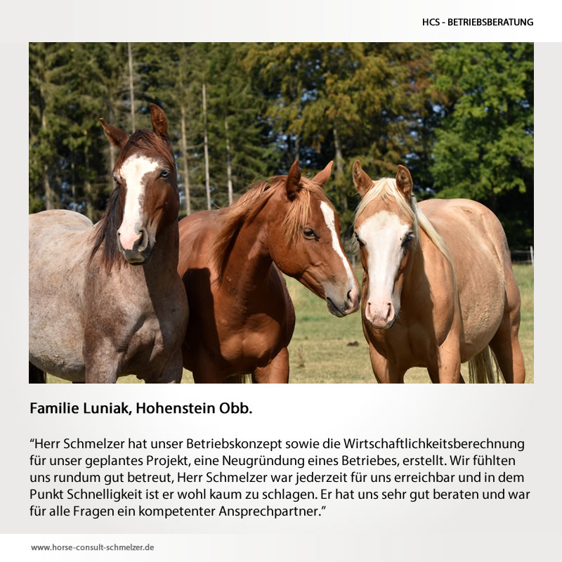 Betriebsberatung
